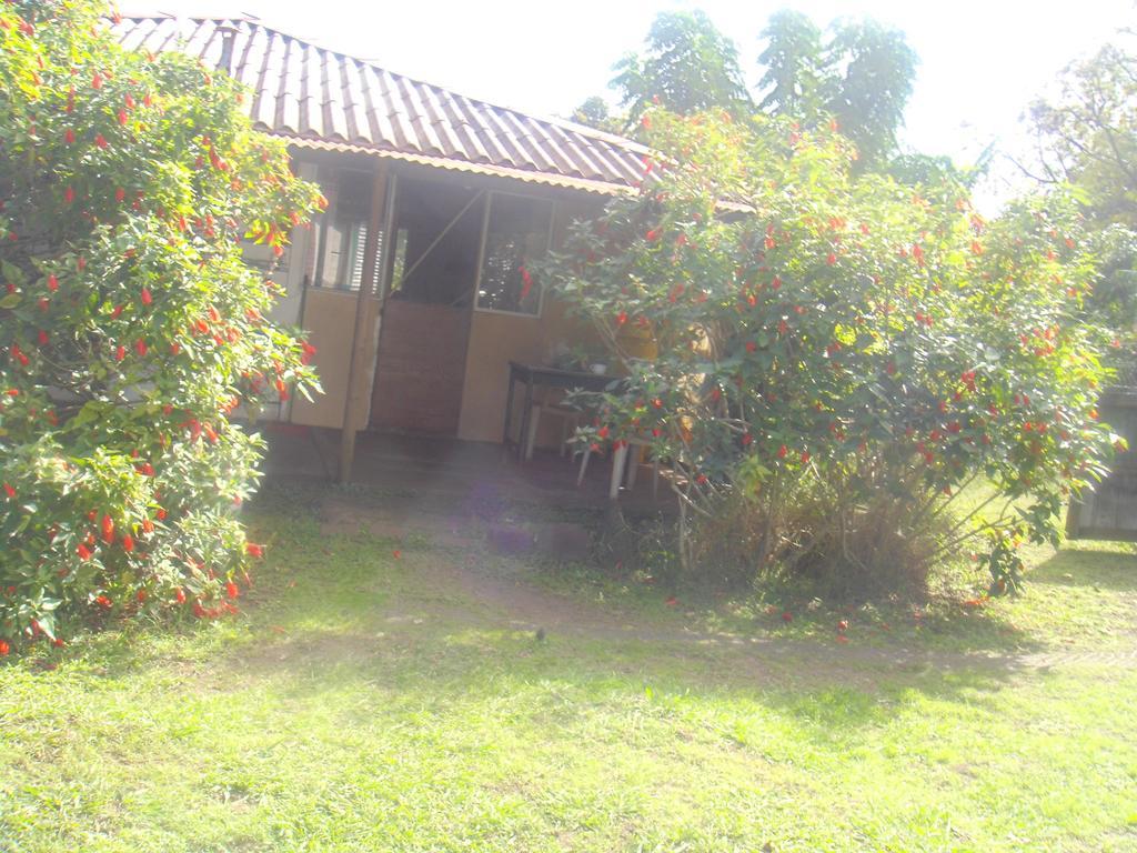 Cabanas Varua Hanga Roa Rum bild