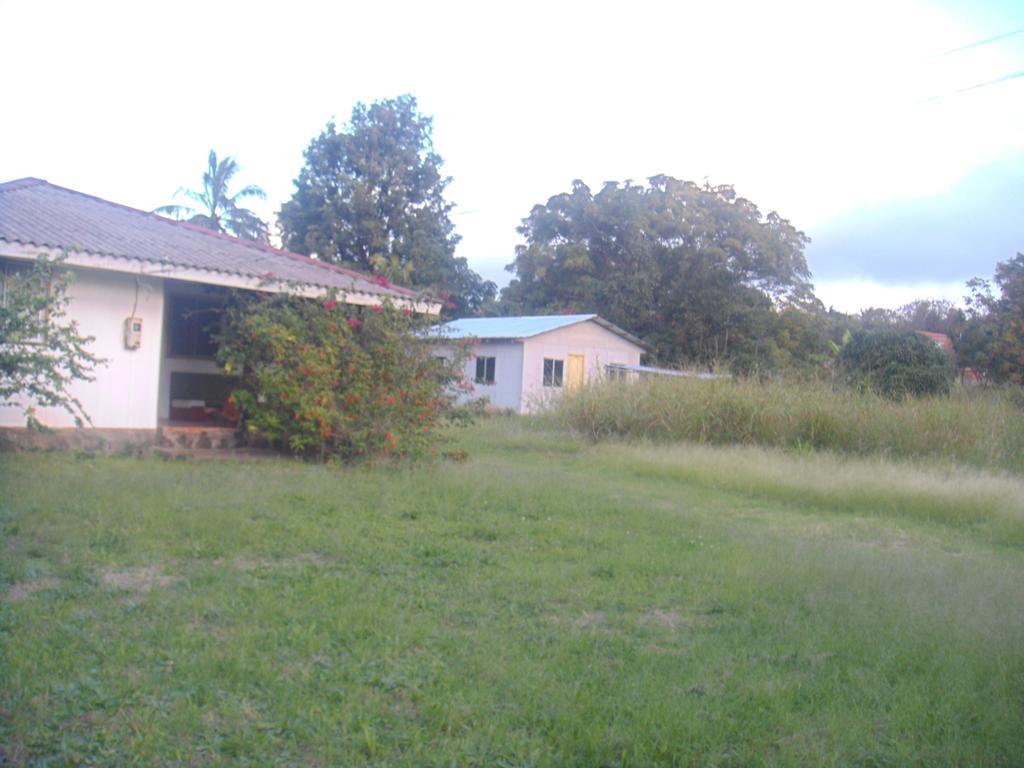Cabanas Varua Hanga Roa Rum bild